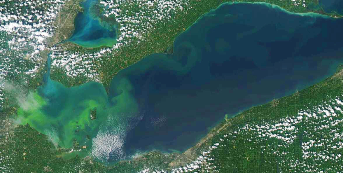 Sattelite image of Lake Erie from August 28, 2014, showing the algae bloom.